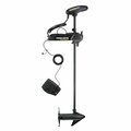 Minn Kota PowerDrive 45 Trolling Motor w/Foot Pedal, 12V, 45LB, 48 in. 1358441